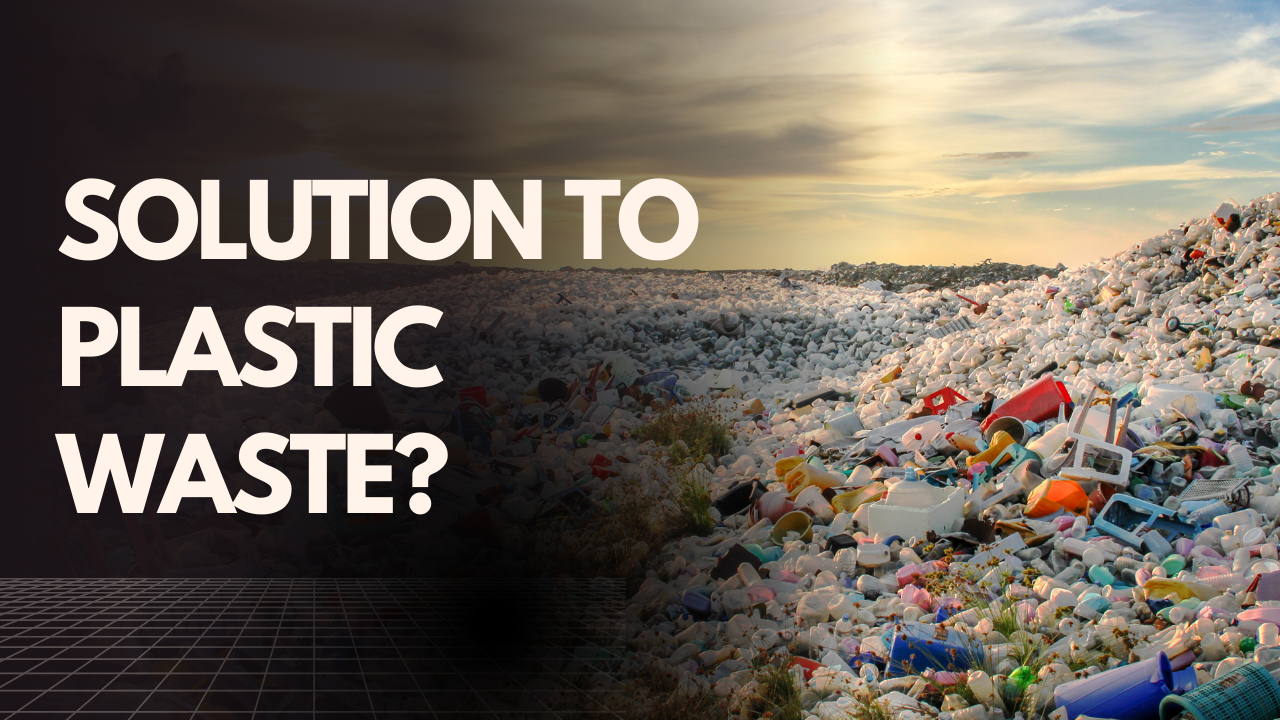 solution to plastic waste?