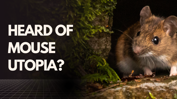 heard of mouse utopia?