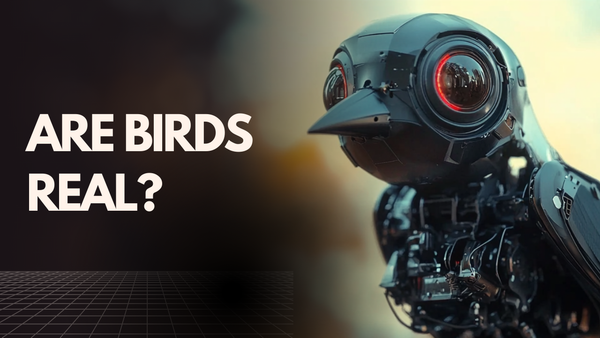 are birds real?
