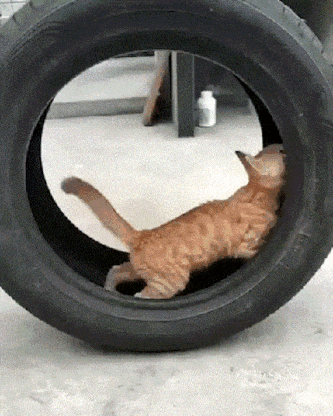stuck in a tunnel? (1) (1)