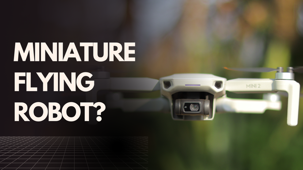 miniature flying robot?
